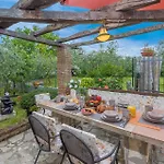 Marija Franko Sunny - A2