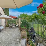 Marija Franko Sunny - A2