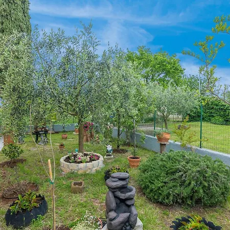 Apartmán Marija Franko Sunny - A2 Poreč