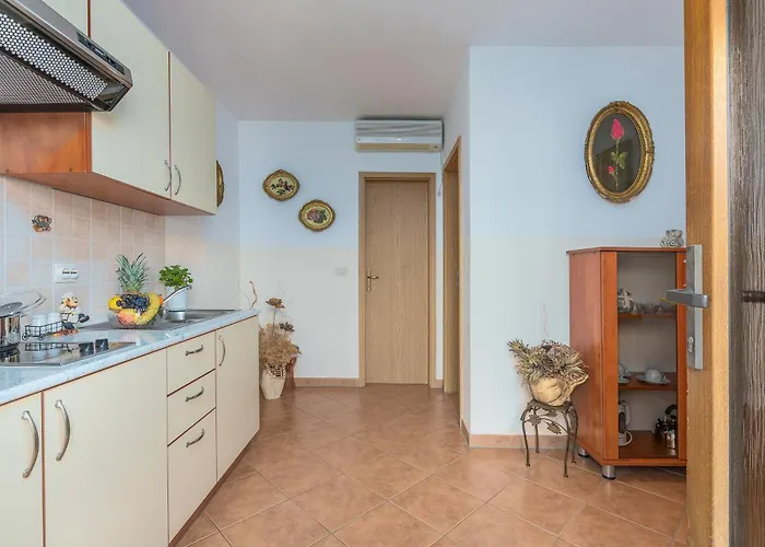 Marija Franko Sunny - A2