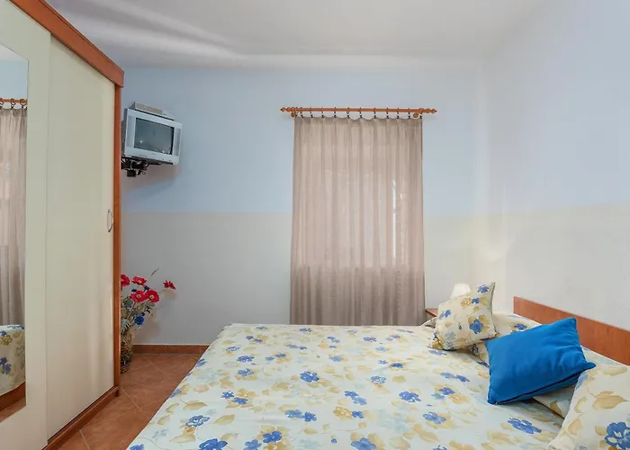 Marija Franko Sunny - A2 *